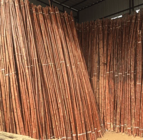 bamboo_poles_image
