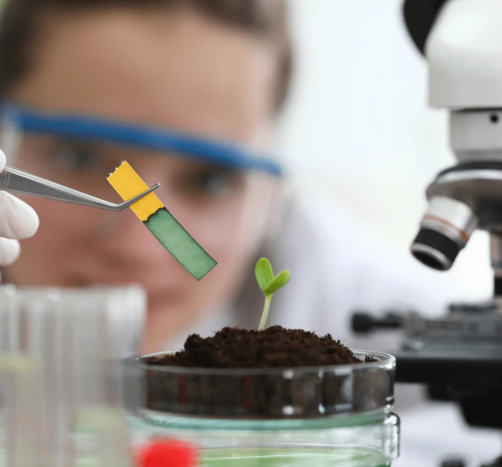healthy_soil_image