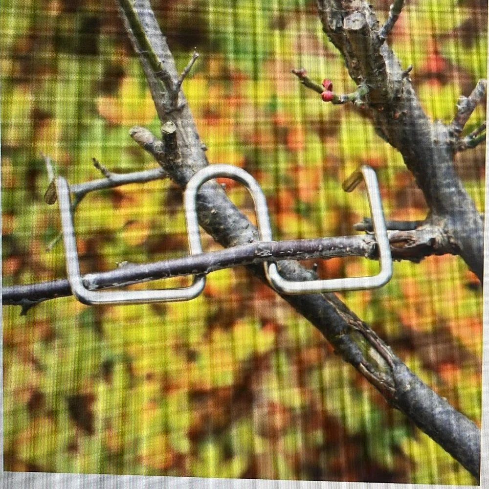 Branch Bendings